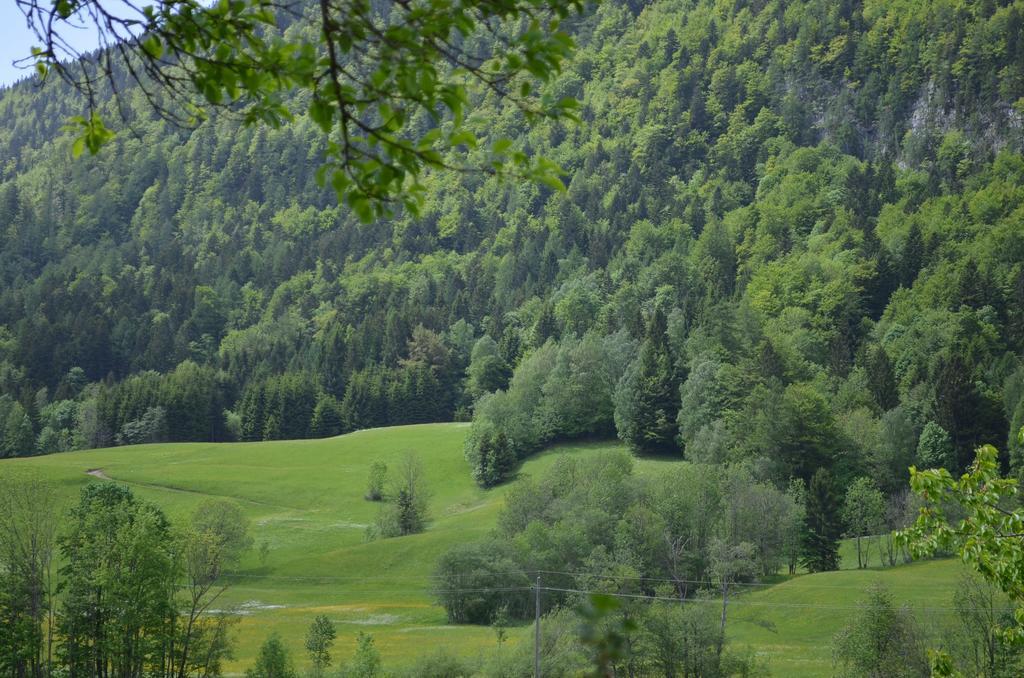 Bauernhof Konig Villa Anger  Esterno foto