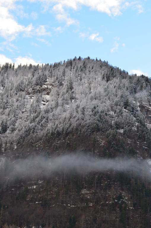 Bauernhof Konig Villa Anger  Esterno foto