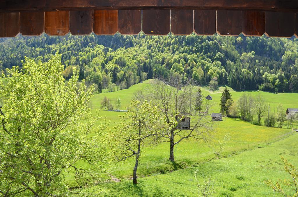 Bauernhof Konig Villa Anger  Esterno foto