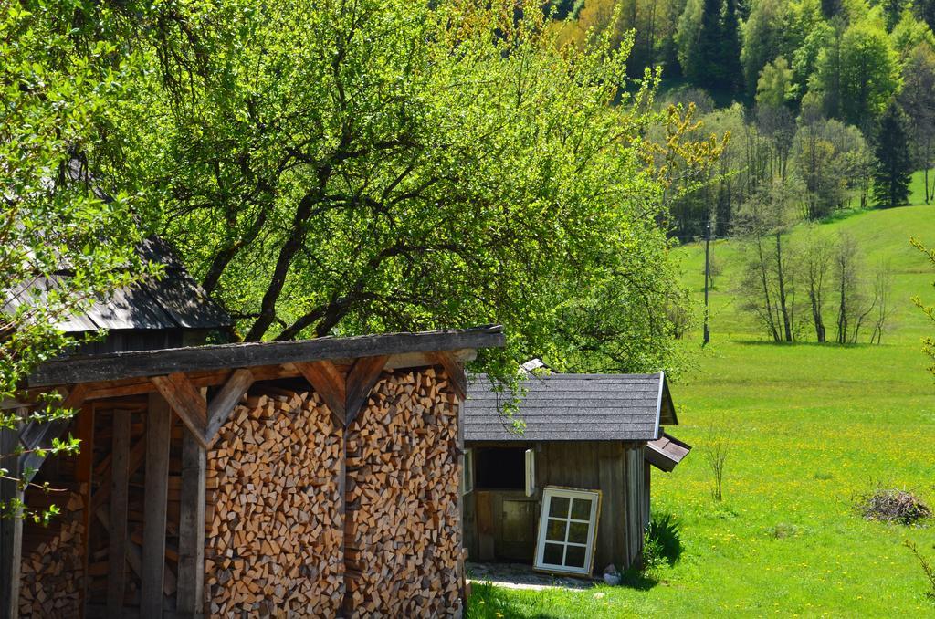 Bauernhof Konig Villa Anger  Esterno foto