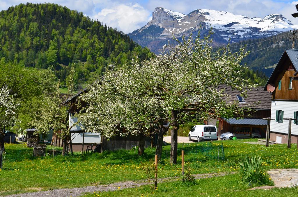 Bauernhof Konig Villa Anger  Esterno foto